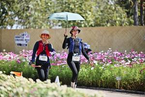 BIB: 
                            <button type="button" onclick="openModal(27799263)" class="btn btn-primary btn-sm float-right btn-popup" data-toggle="modal" data-target=".modal-high-quality">
                        <i class="fas fa-shopping-cart"></i> Add to Cart
                    </button>
                                            <button type="button" onclick="isThisMe(27799263, true)" class="btn btn-success btn-sm float-right btn-popup btn-isme hidden" data-toggle="tooltip" data-placement="bottom" title="นี่คือรูปของคุณใช่ไหม คลิกที่นี่เพื่อเอาเข้าอัลบั้ม">
                        <i class="fas fa-plus"></i> Add to album
                    </button>
                    <button type="button" onclick="isThisMe(27799263, false)" class="btn btn-warning btn-sm float-right btn-popup btn-isnotme hidden">
                        <i class="fas fa-ban"></i> Remove from album
                    </button>